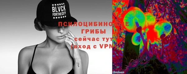 2c-b Алзамай