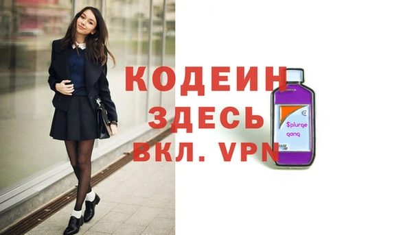 шишки Покачи